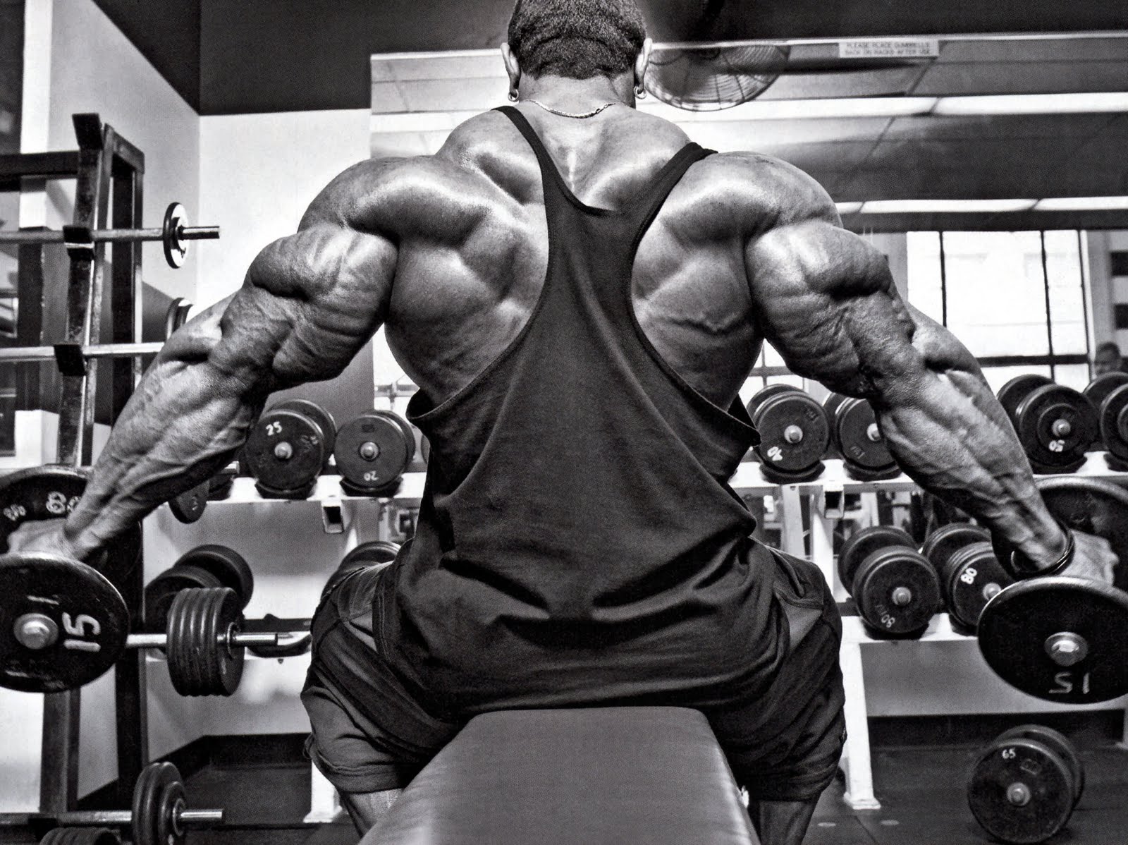 SEARCH AND BUY THIS PRODUCT Knights of Bodybuilding ROELLY WINKLAAR 2