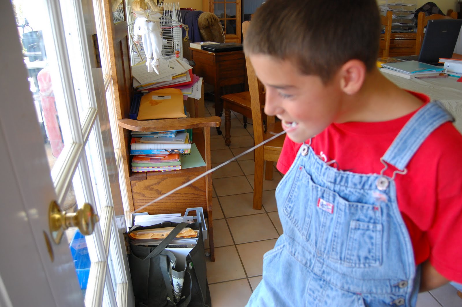 The Greenwood Family Joey Pullin' a Tooth