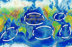 Peligro en mares y océanos: ¡PLÁSTICOS!