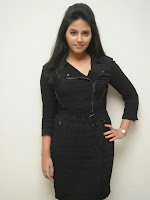 Anjali Glamourous Photos at Pranam Kosam audio-cover-photo