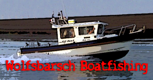 Wolfsbarsch Boatfishing