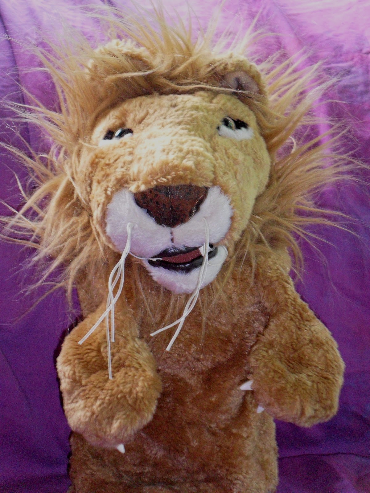 Beyond the Book Storytimes Presents from Dear Zoo