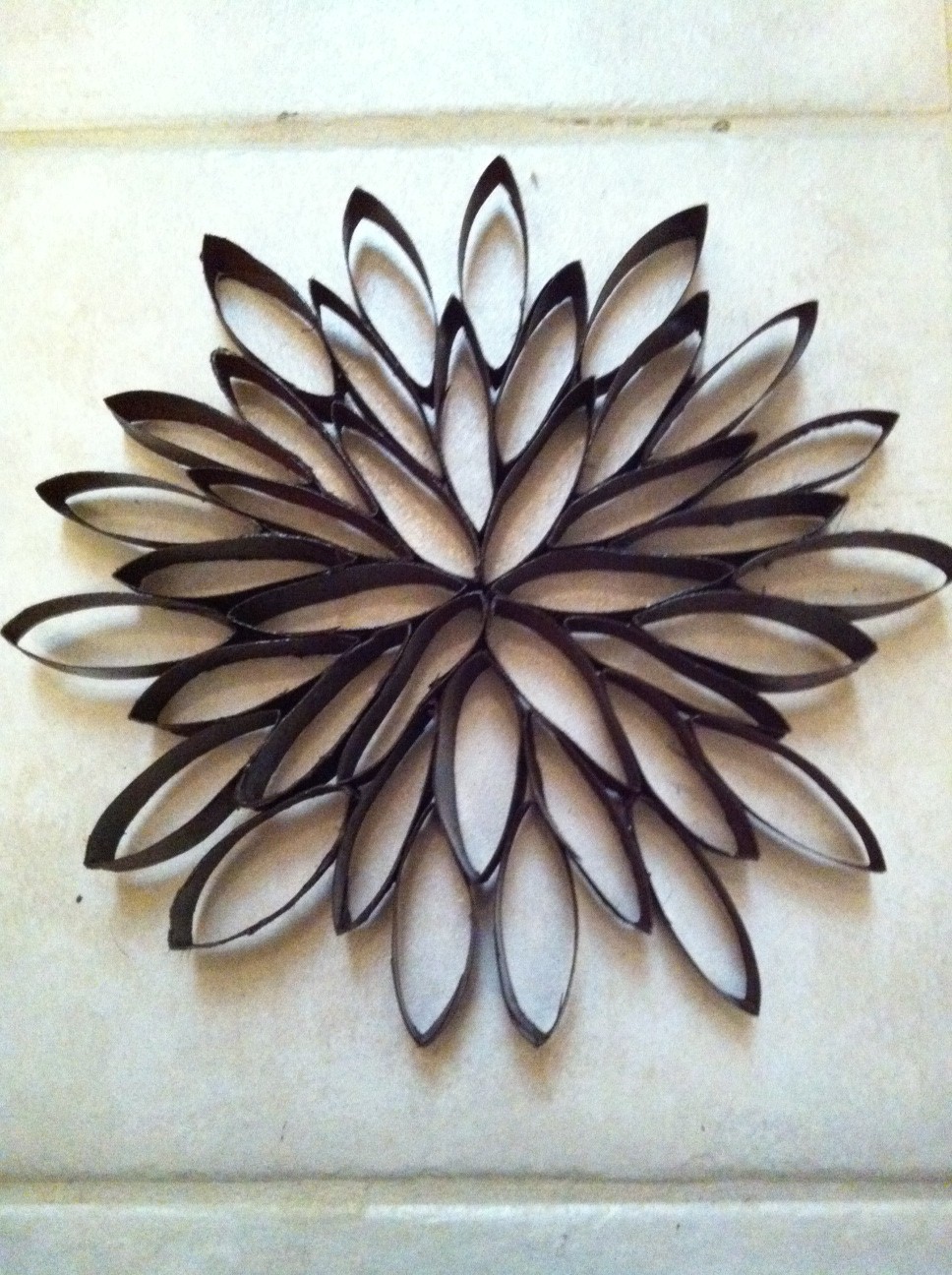 Frugal Science Gal Toilet Paper Wall Decor!