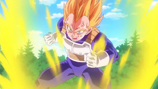 Vegeta Dragon Ball Z God and God