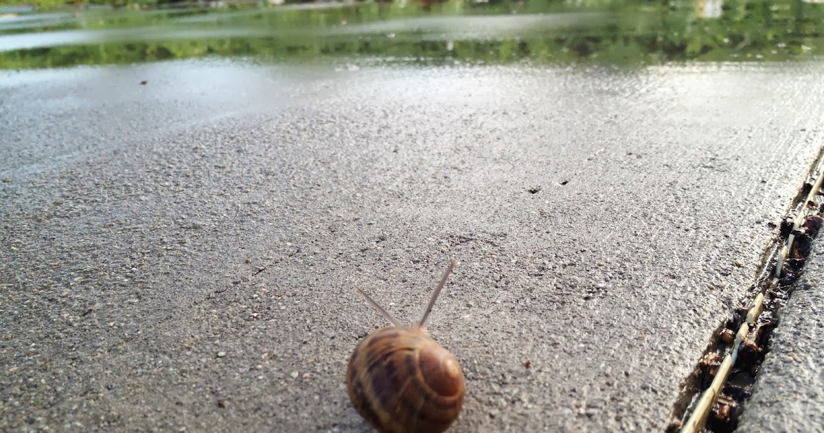 Divisible by 3 [Andrew Stadel] Snail's Pace