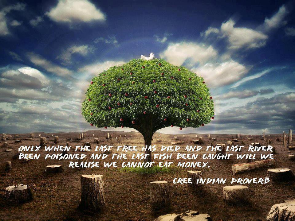 cats cradle analysis Free essay: cats in the cradle song analysis ever hear a song and you instantly know you are going to love it the song vibrates through your body(and no i. cats cradle analysis Free essay: cats in the cradle song analysis ever hear a song and you instantly know you are going to love it the song vibrates through your body(and no i.