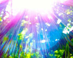 Liebe alles, was du jetzt tust ~ Paul Dobree-Carey ~ 29. November 2019