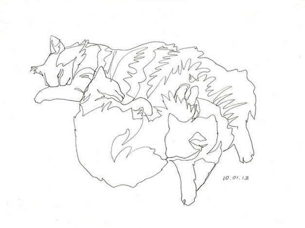 кошки одной линией не отрываясь