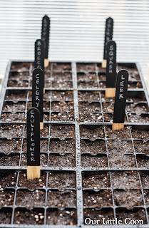 DIY, urban farm, seed, markers, how-to, make your own, label, garden, plant, label, beets, basil, tomato, chalk DIY, urban farm, seed, markers, how-to, make your own, label, garden, plant, label, beets, basil, tomato, chalk