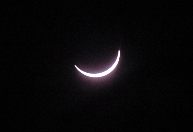 Casino moon horse