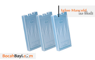Ice Pack Igloo MAXCOLD, icepack