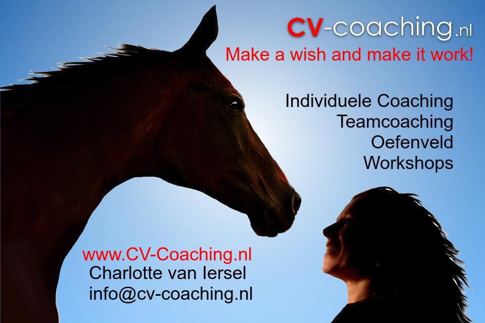 CV-Coaching door Charlotte van Iersel