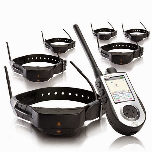 armeria vesuvio di russo maddalena Collari TEK 1.0 e 2.0