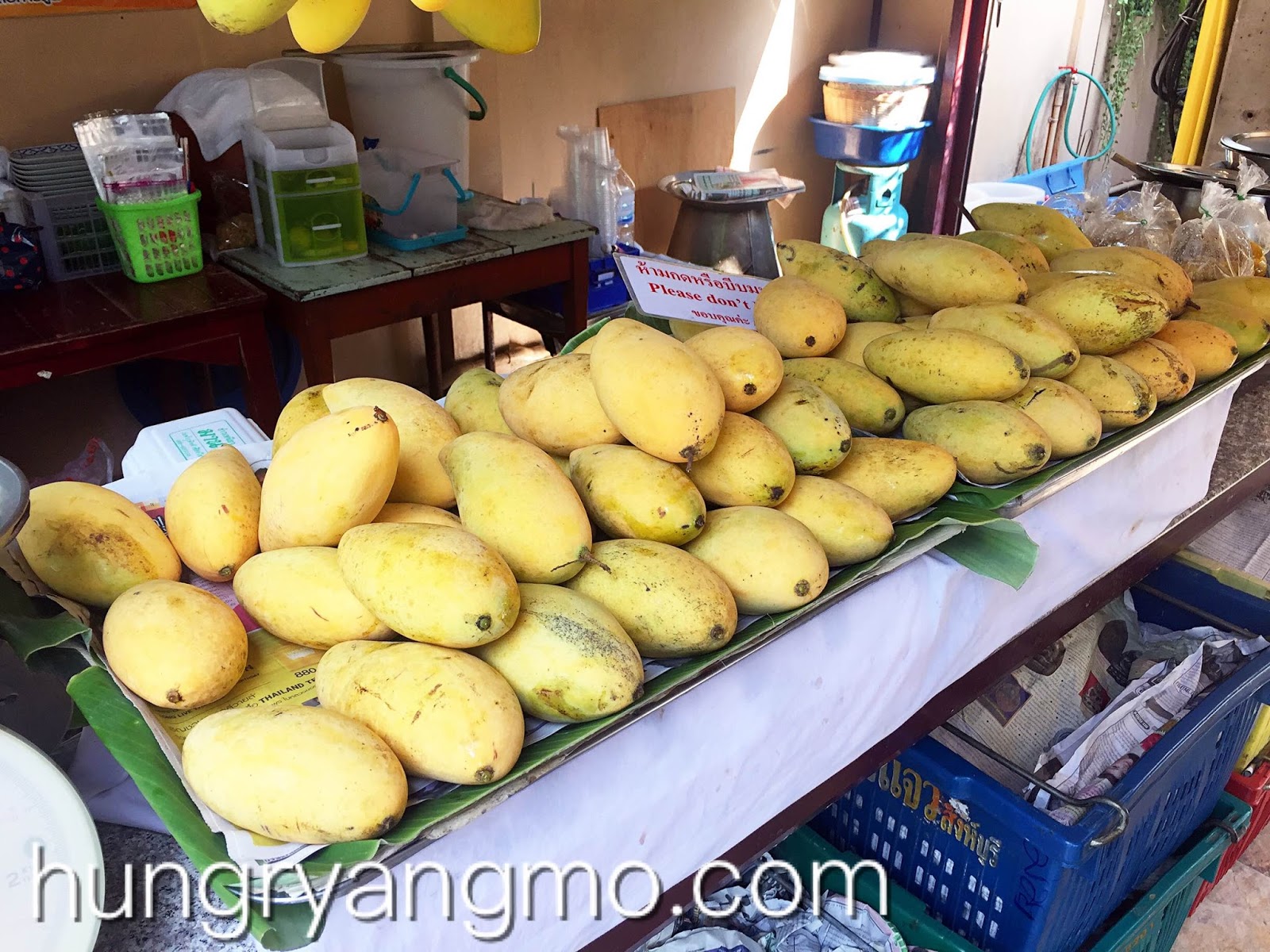 Manna Best Mango Sticky Rice in Thailand Chiang Mai, Thailand
