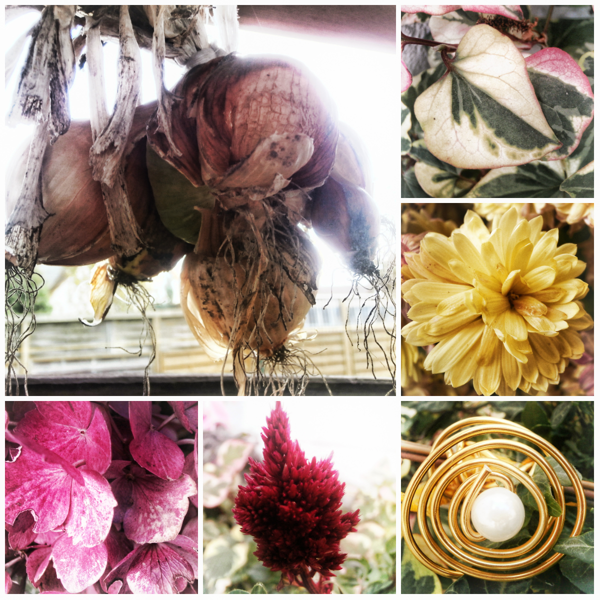 Der Garten Meiner Eltern the world according to der garten meiner eltern Der Garten Meiner Eltern the world according to der garten meiner eltern
