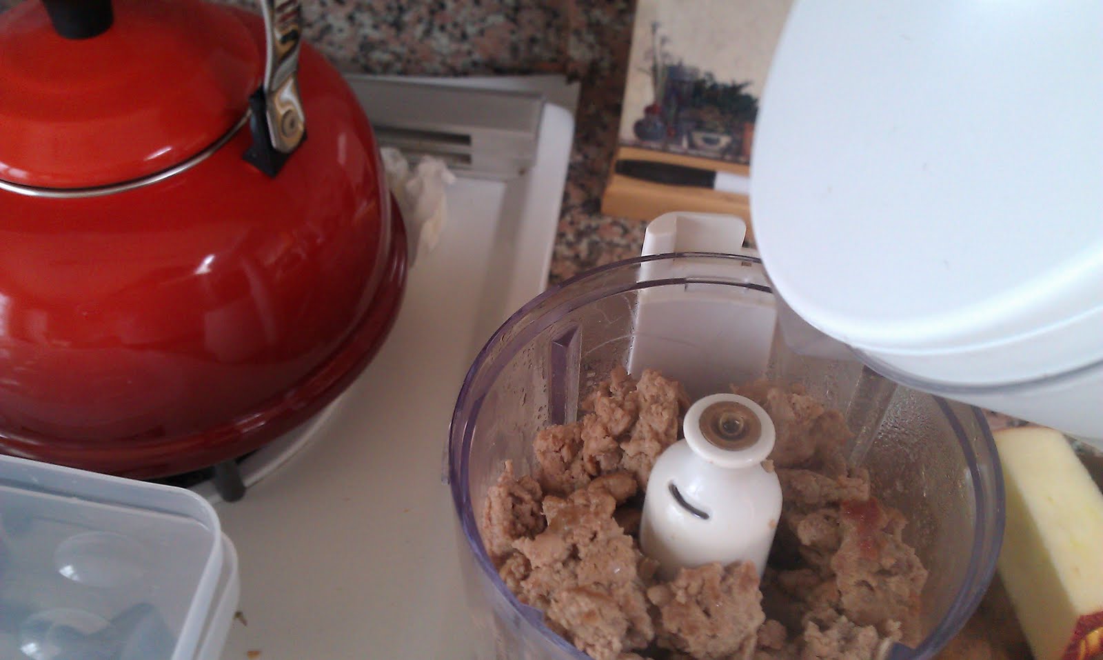 Mommy and Baby food How to Puree Apples and Turkey