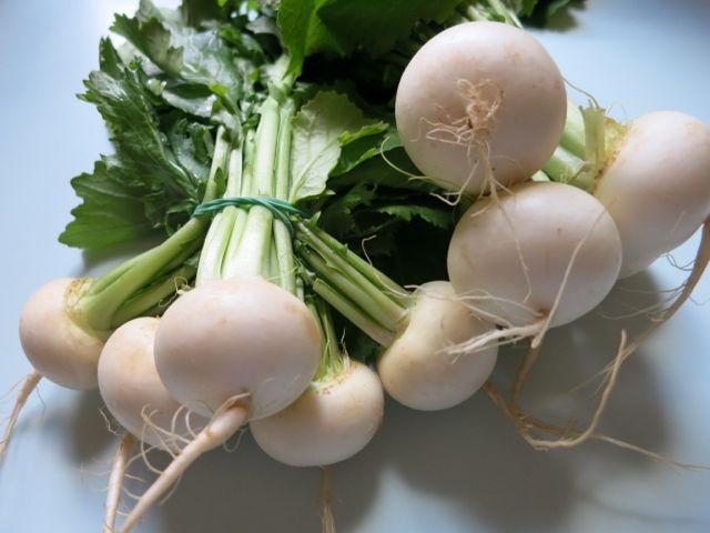 baby turnips baby turnips