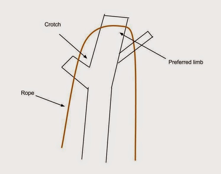 Alex Palmer's Natural History Notes and Thoughts March 2015