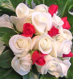 White Rose Wallpaper White Rose Wallpaper