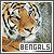 I like Bengal tigers