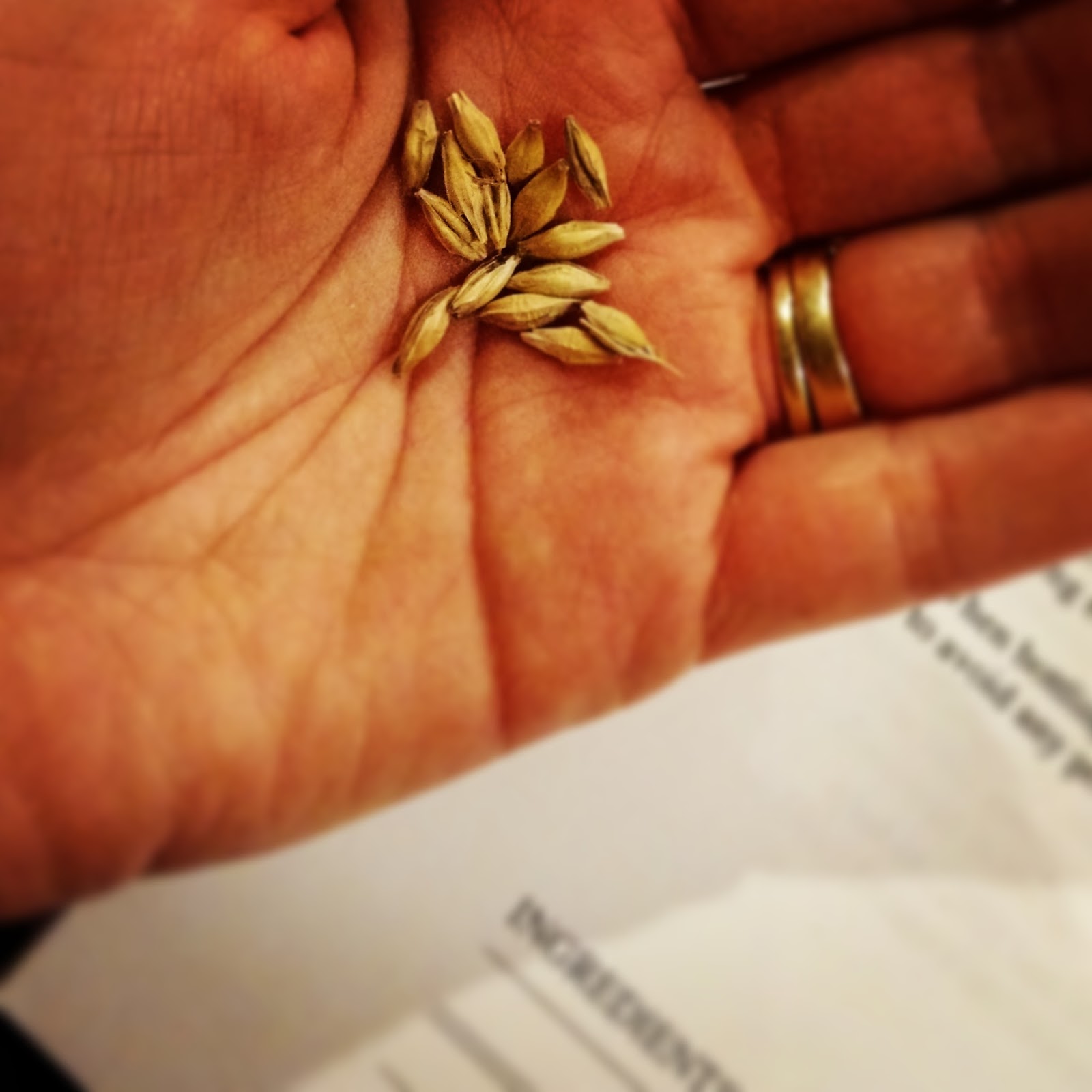 Lifelong Michigander Something Good is Brewing at Cap 'N' Cork