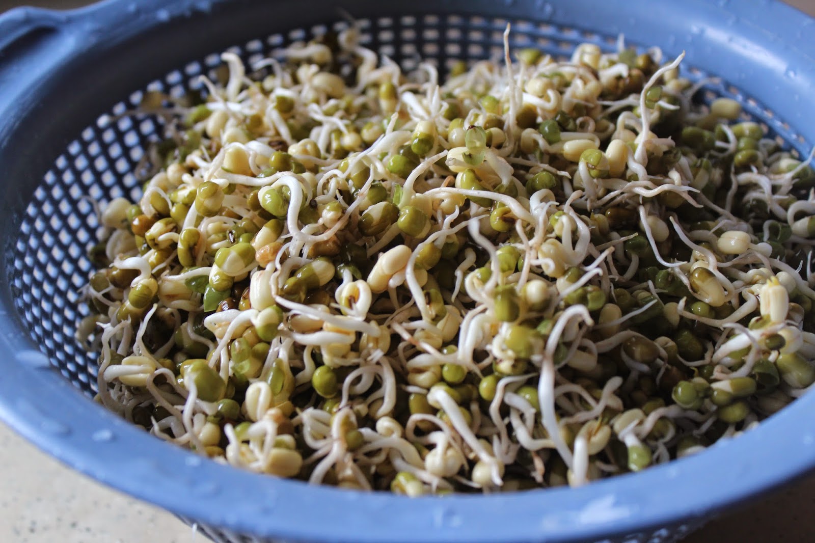 SavisPassions How to Sprouts Moong Dal / Hesarukalu /Pesaru Pappu