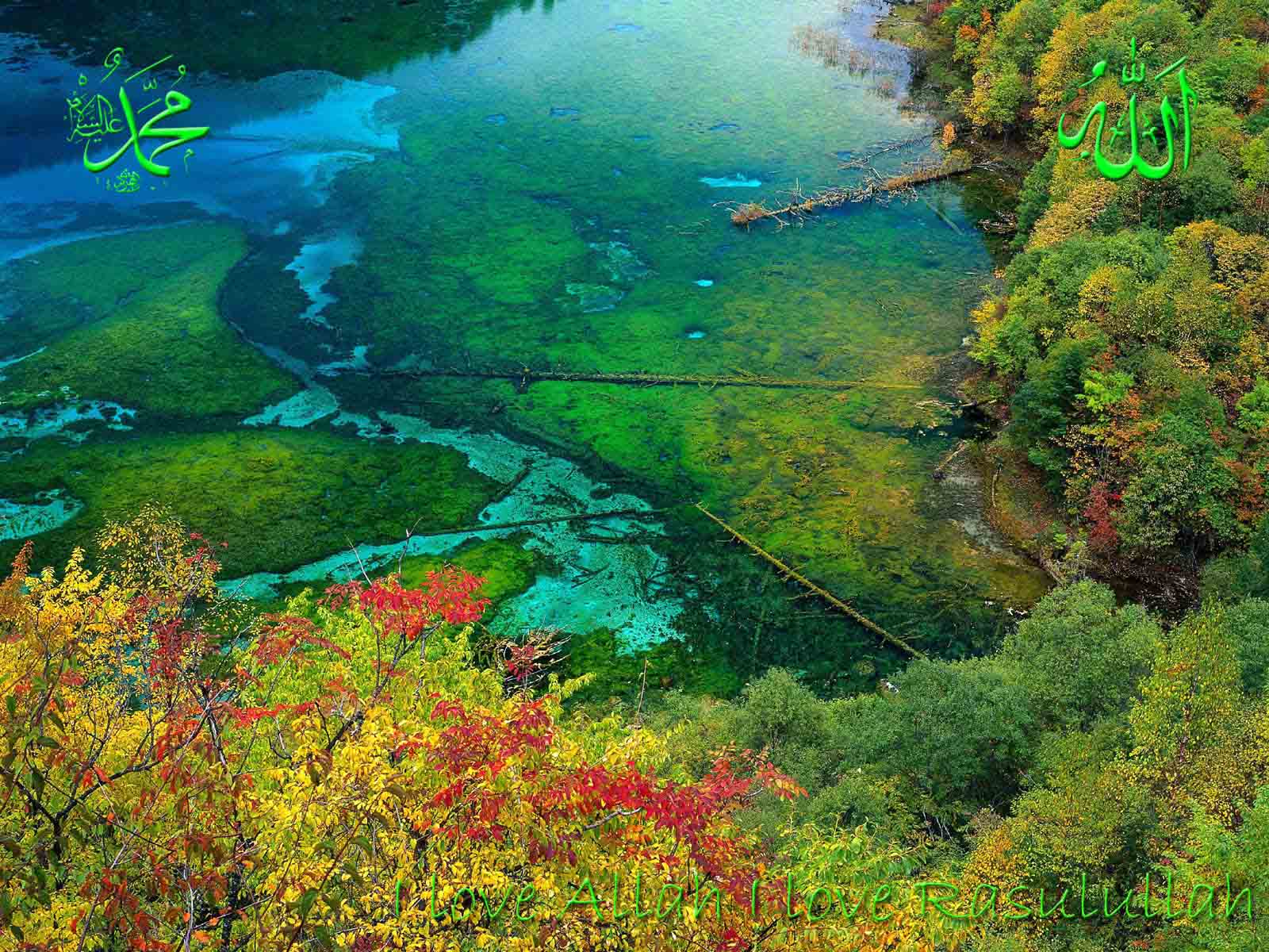 http://4.bp.blogspot.com/-FVHhxDp01bA/TWZPO2jf_9I/AAAAAAAAAaY/MpaeQEMrjiI/s1600/Islamic+Wallpaper+of+nature.jpg