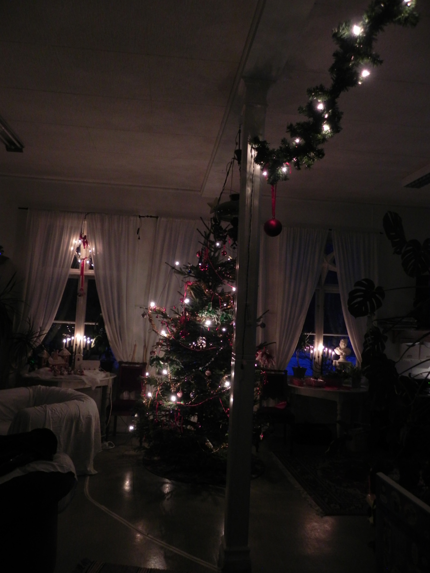 Mians värld: december 2011