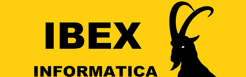 ibex informatica