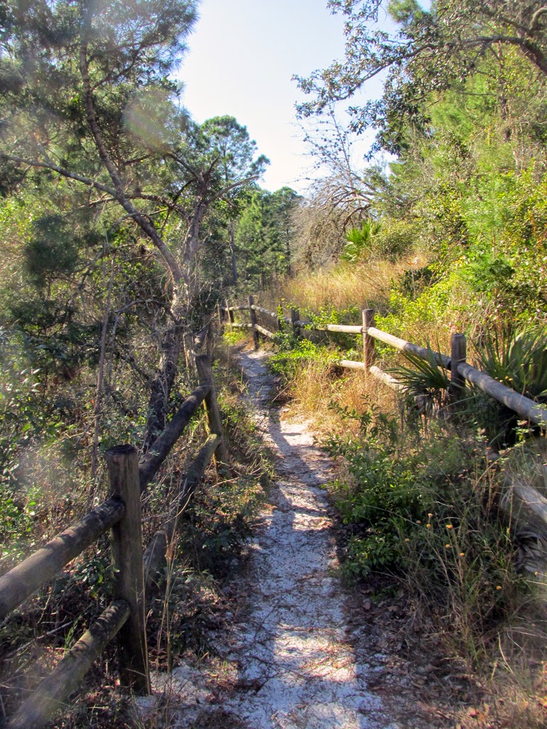Amusement Park... Stuff Shadow Bay Park
