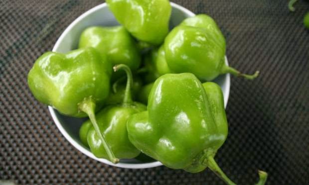 Cambuci Cambuci é encontrada principalmente em São Paulo, possui polpa bem fibrosa e poucas sementes. É rica em vitaminas A e C, como a maioria das frutas ácidas.