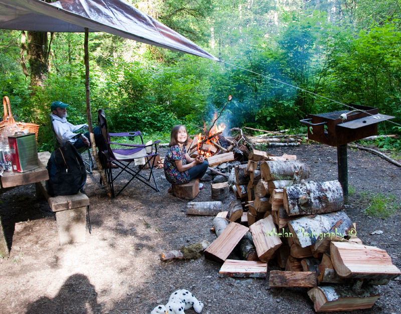 Walks with Moss West Fork Humptulips and Camping Nearby