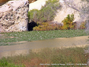 Lagoa do Arco. Porto Alexandre/Tombwa/Angola