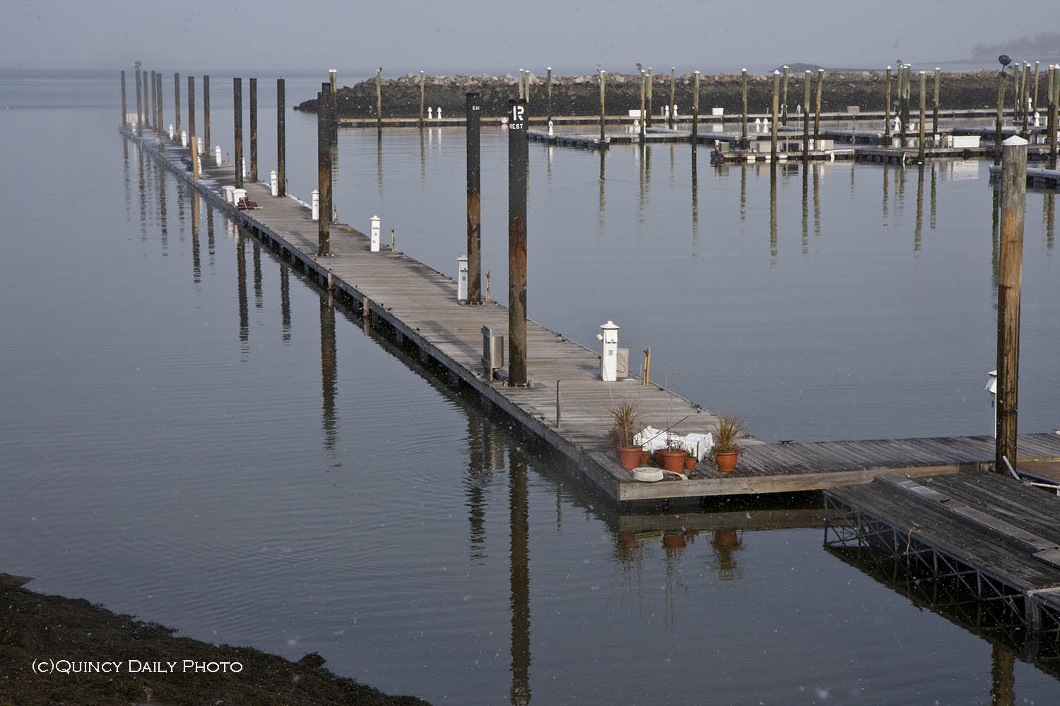 Quincy Daily Photo January 2012