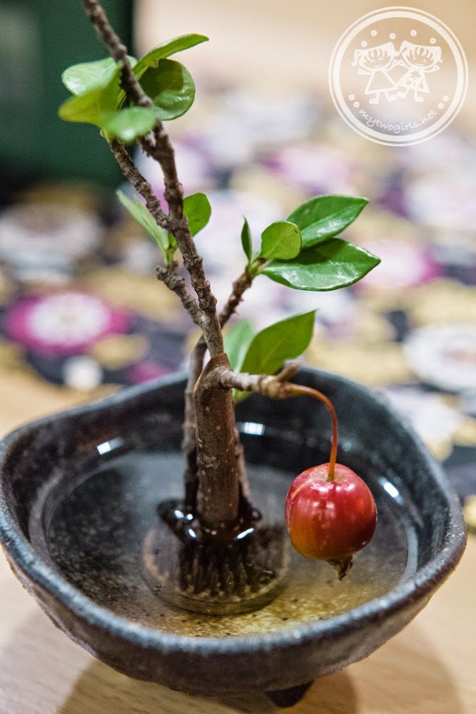 Miniature bonsai