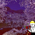 桜の日： 日本東京留學生活Day 006 看櫻花日Check point 3: 桜の花びらたち...ちゅりちゃん！会いたいよ！