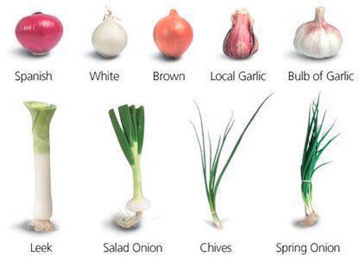 Types of onion