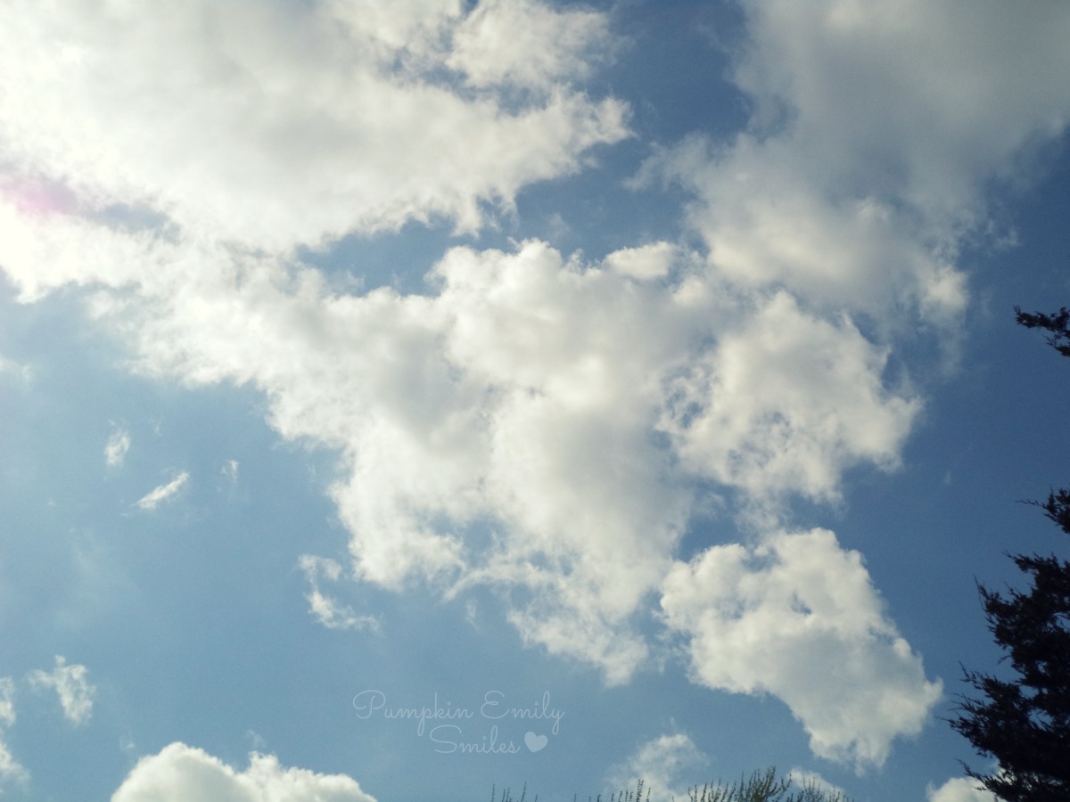 Clouds that look like a dragon or a volcano