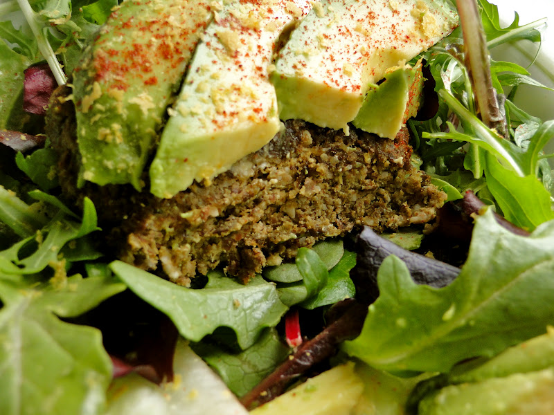 SketchFree Eating Juice Pulp Veggie Burgers + BlueberryKiwi Swirl FroYo