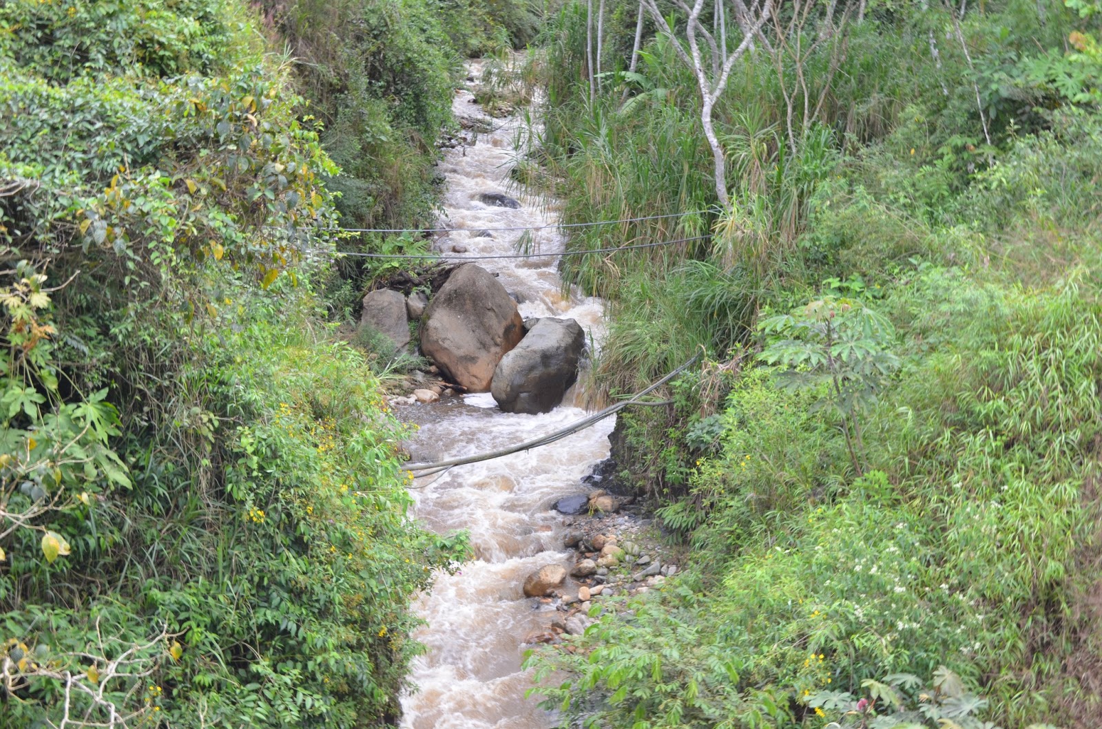 Arte, cultura y turismo Macizo colombiano