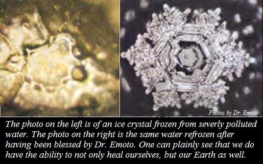 dr masaru emoto fraud