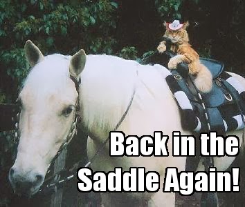 Back to the future Back In The Saddle Again Chords by Gene Autry Learn to play guitar by chord and tabs and use our crd diagrams, transpose the key and more.