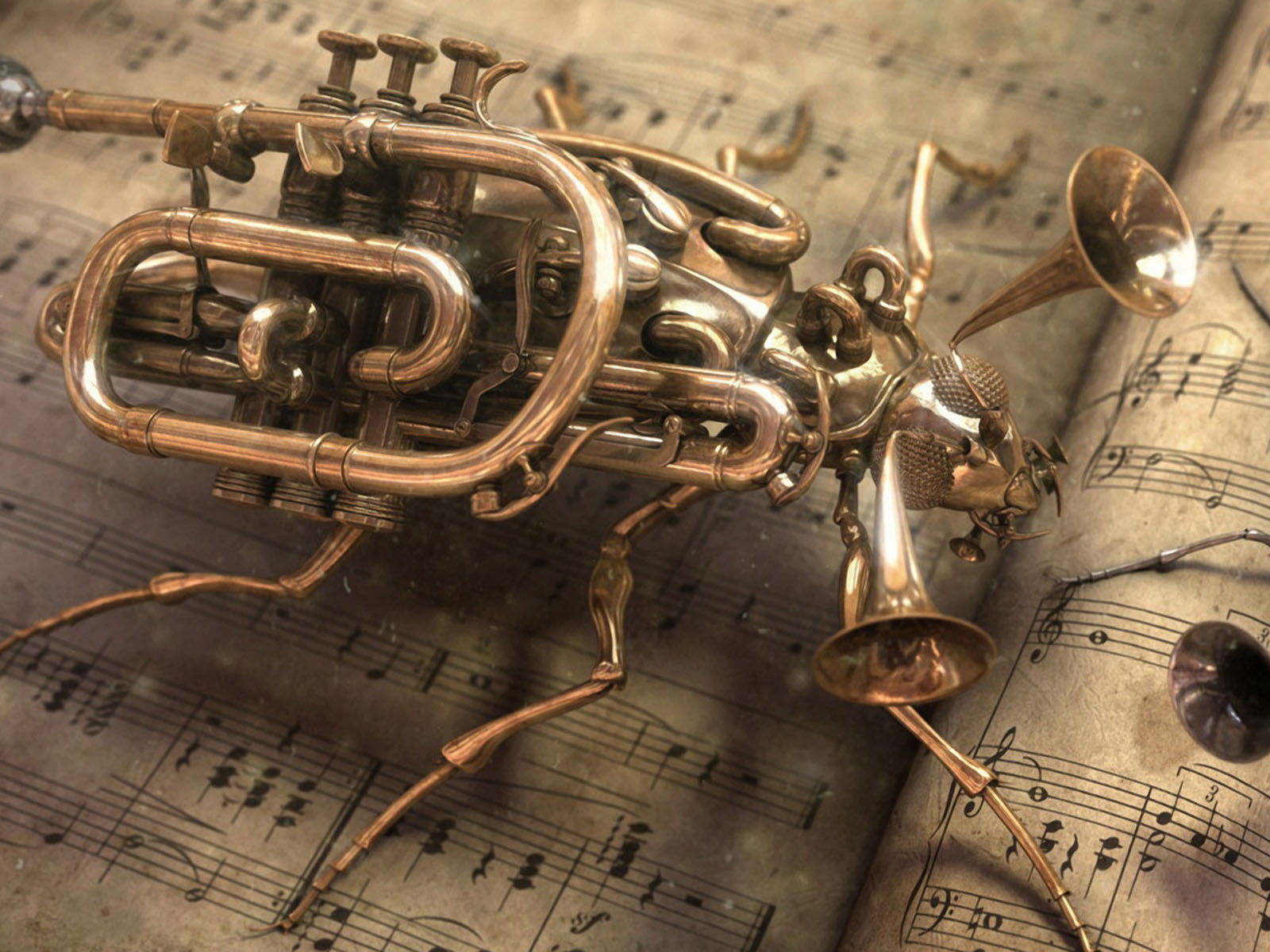 http://4.bp.blogspot.com/-FYR8UHnkbQI/T6Foq6Lym_I/AAAAAAAACWQ/AyQgLqOSPpw/s1600/Music+Beetle.jpg
