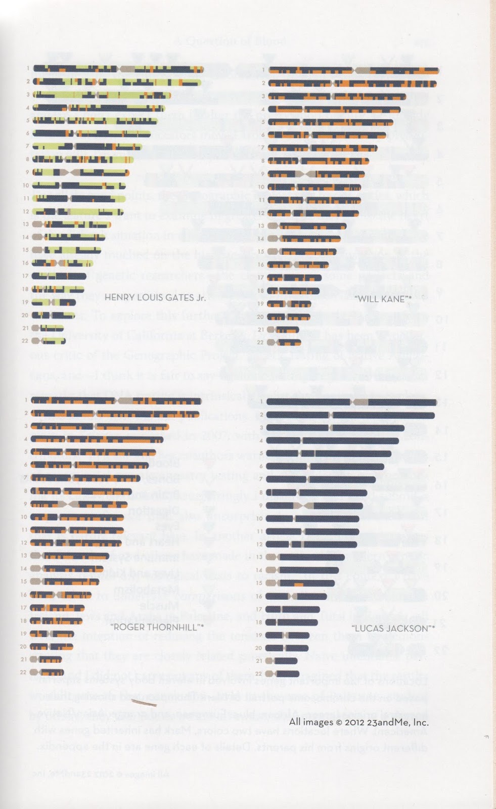 for unmixed native american chromosomes what is noticeable is that there are no signs of green meaning african ancestry in neither of the portraits for unmixed native american chromosomes what is noticeable is that there are no signs of green meaning african ancestry in neither of the portraits