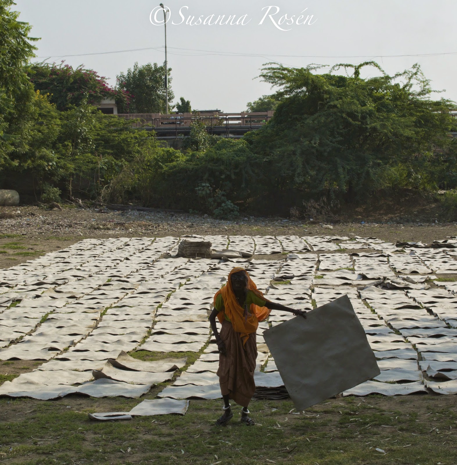 The House of Susanna / my life in India Handmade paper in Sanganer