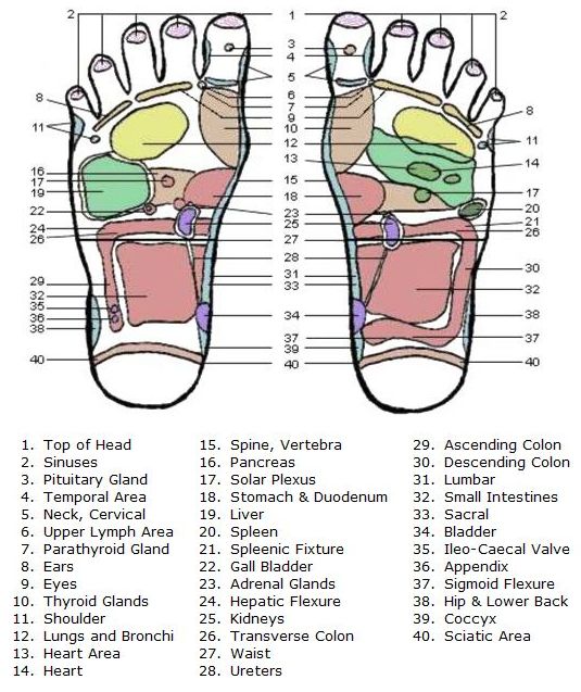 Acupressure Points Leg Chart