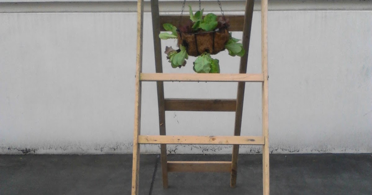 Robs World Making a Squash Ladder