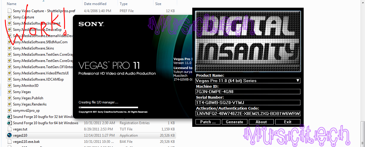 Digital insanity vegas pro 11 keygen