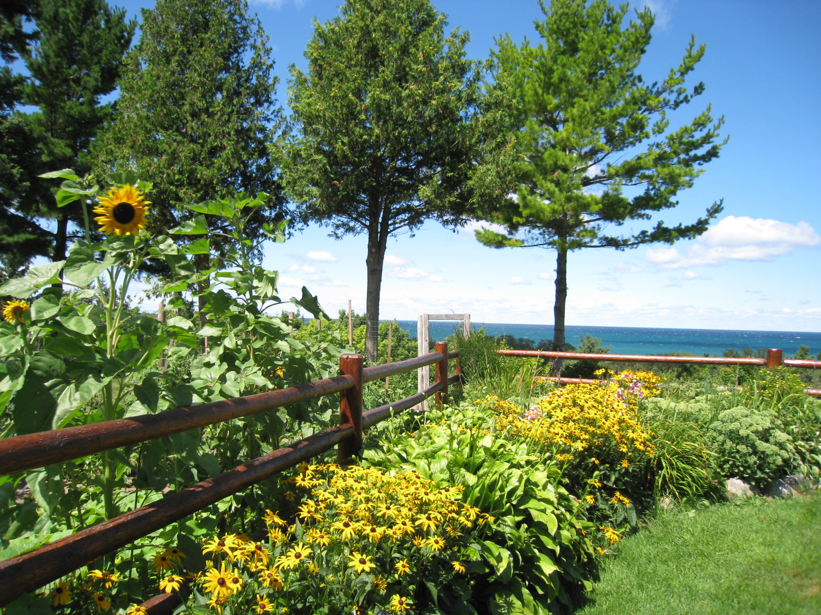 Cross Village, Michigan The Walking Stick