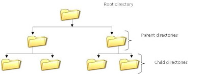 HIERARCHY OF FOLDERS KCSE COMPUTER NOTES AND TUTORIALS